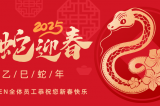 辭舊迎新，蛇舞華章丨深圳容金科技全體員工祝您新春快樂(lè)！
